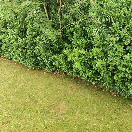 Apartament Rosanna - Adults Only